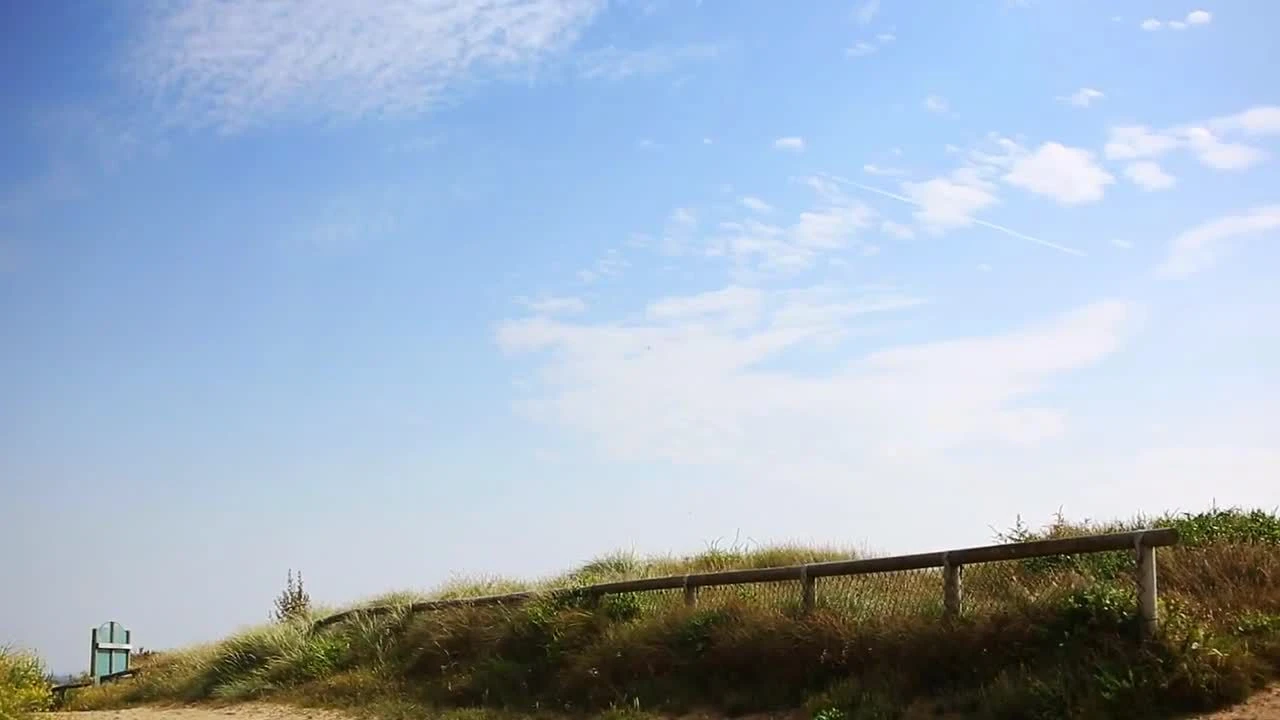 Farrow & Ball Estate Skylight No.205 Matt Emulsion Paint, 2.5L - Image 2