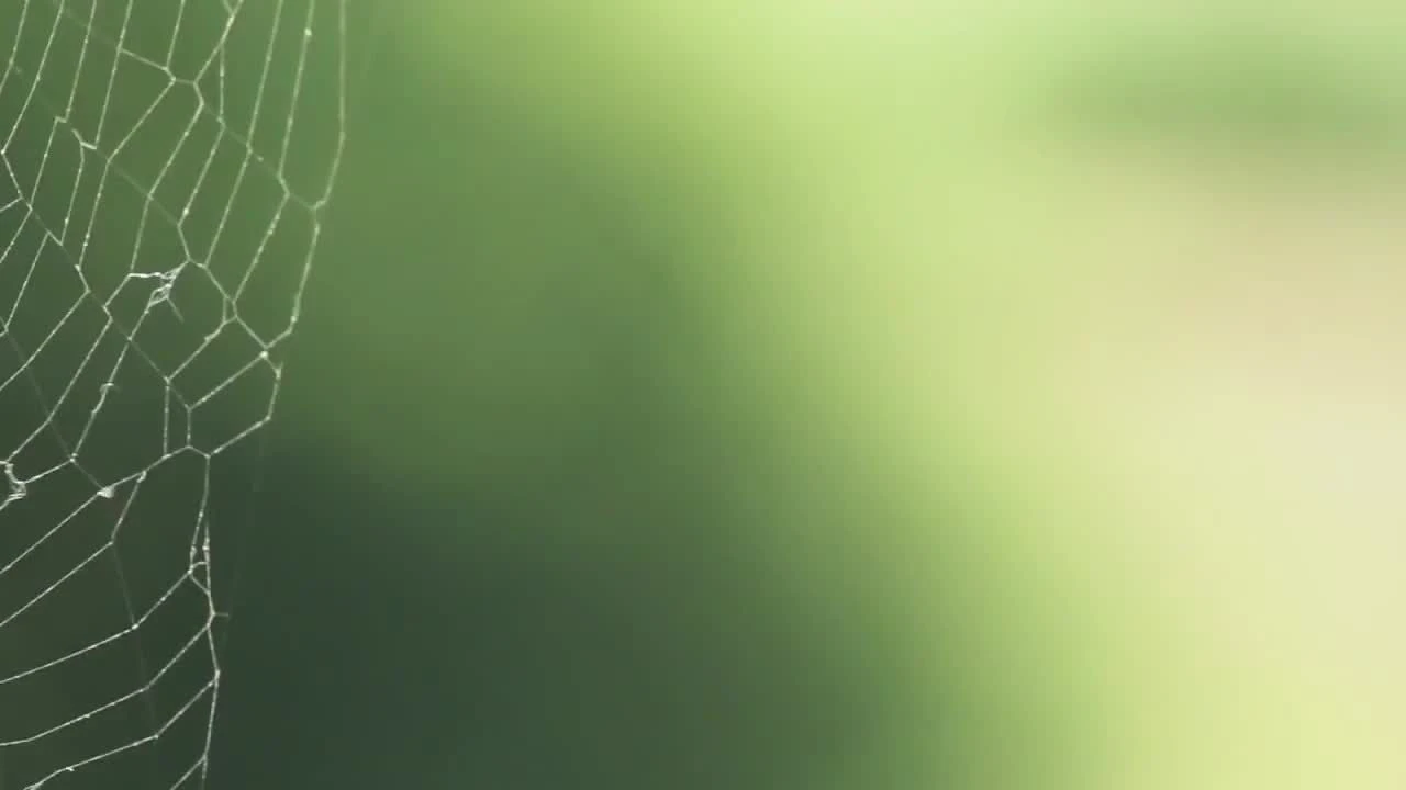 Farrow & Ball Estate Wevet No.273 Matt Emulsion Paint, 2.5L - Image 2