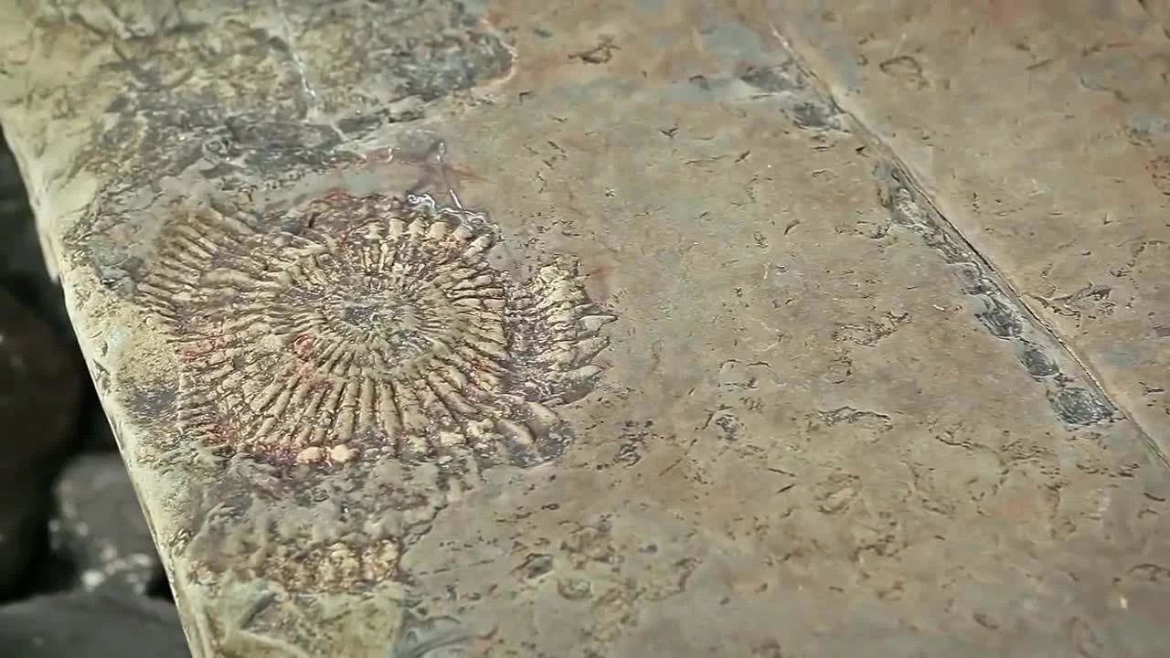 Farrow & Ball Modern Ammonite No.274 Matt Emulsion Paint, 2.5L - Image 2