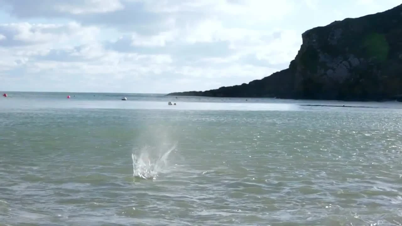 Farrow & Ball Modern Skimming Stone No.241 Matt Emulsion Paint, 2.5L - Image 2